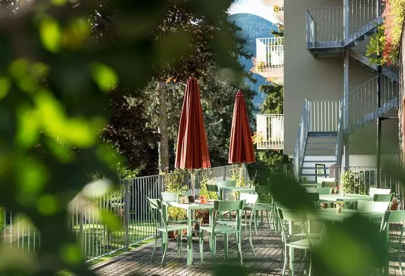 Отель Azalea Park