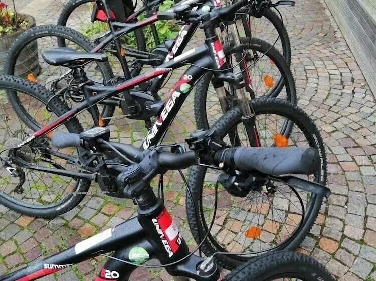 Отель Azalea Park