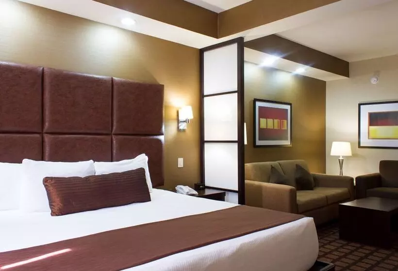 فندق Best Western Premier Monterrey Aeropuerto