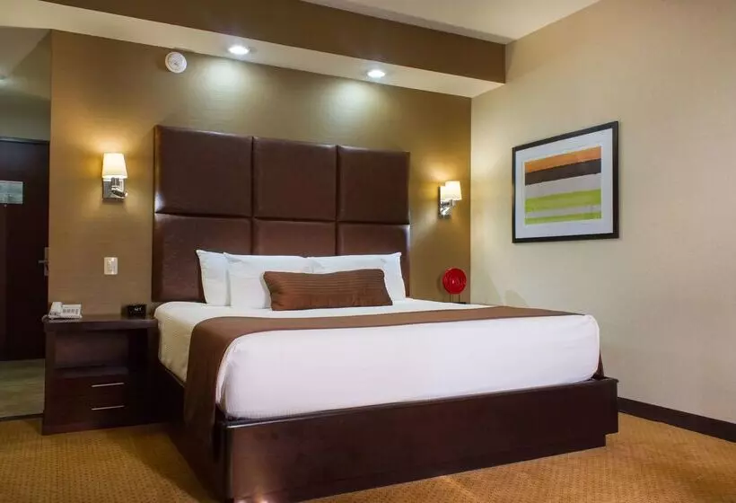 فندق Best Western Premier Monterrey Aeropuerto