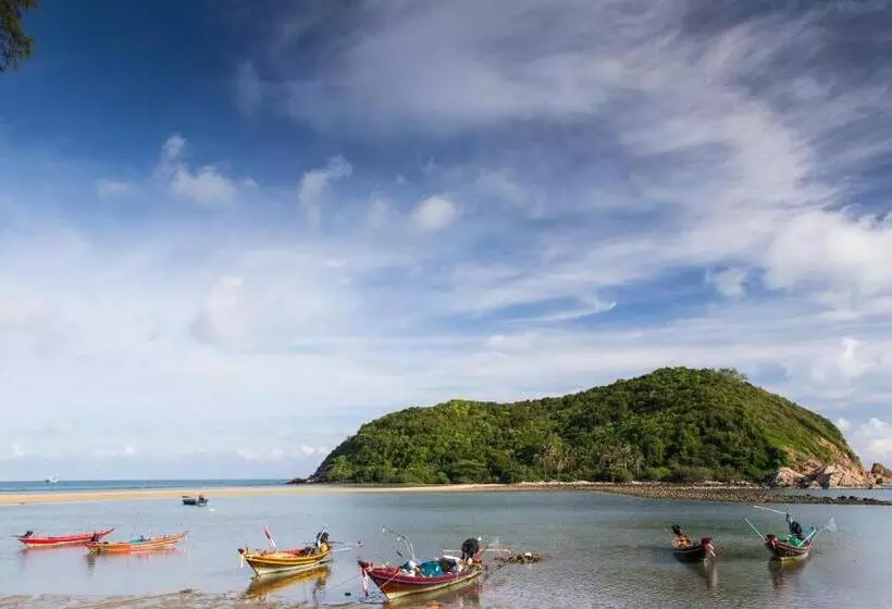 ホテル Maehaad Bay Resort   Sha Plus