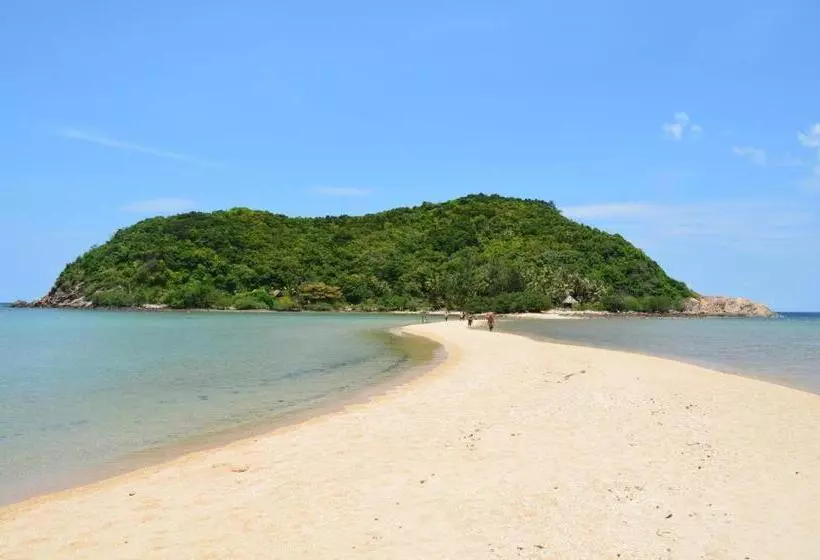 ホテル Maehaad Bay Resort   Sha Plus