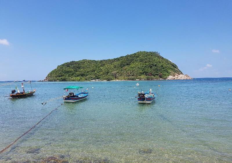 ホテル Maehaad Bay Resort   Sha Plus