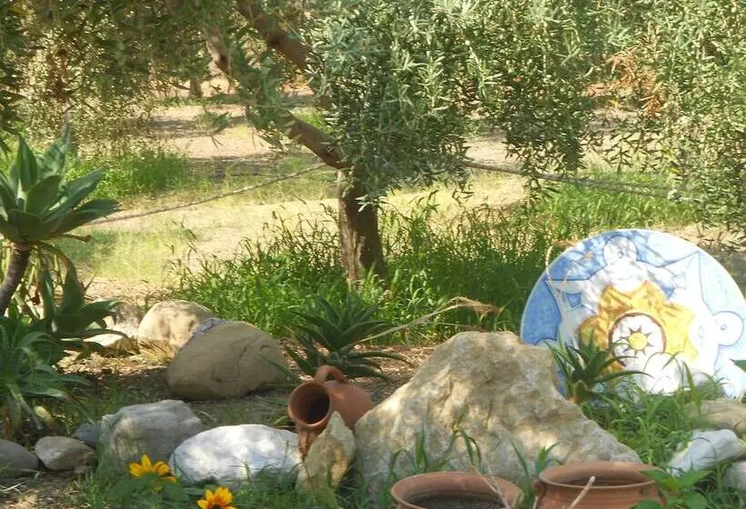 Medimare Residence Club