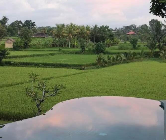 The Dayuh Ubud