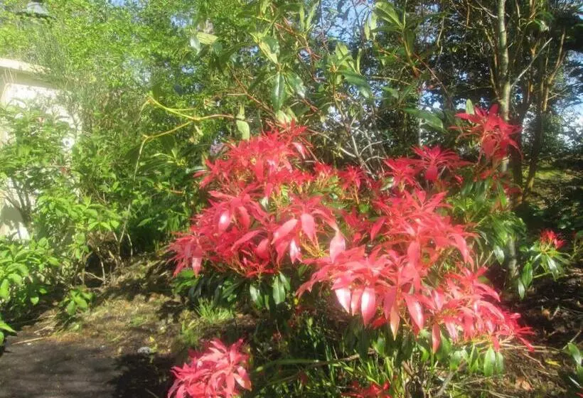 Ard Na Greine Bed & Breakfast Ballylickey