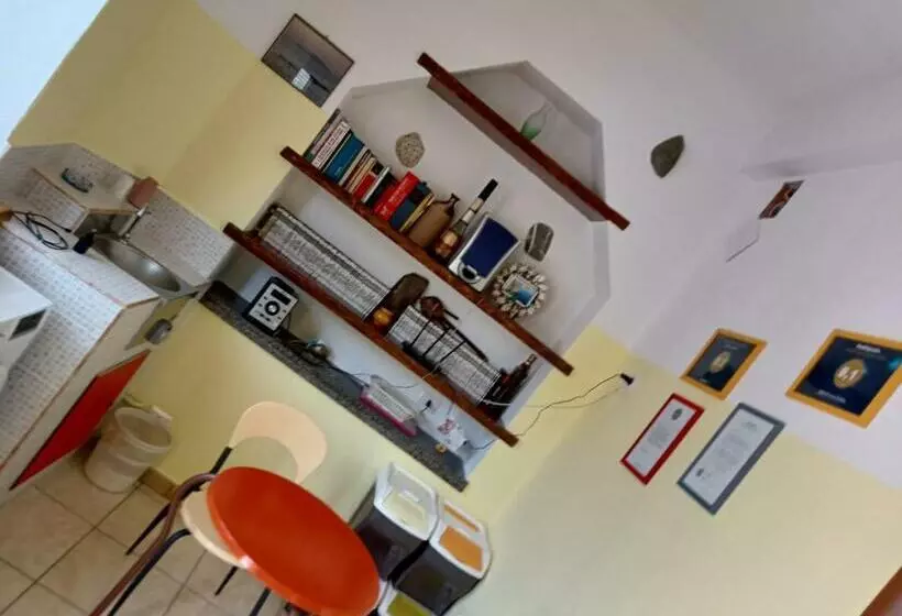 B&b Pinna Gialla