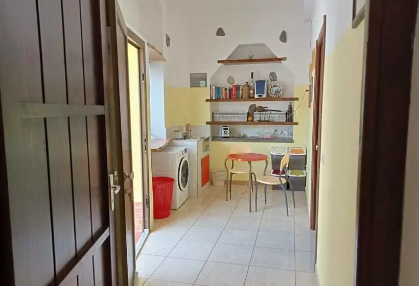 B&b Pinna Gialla