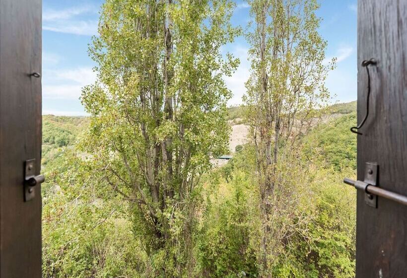 Captivating Apartment In Assisi With Swimming Pool