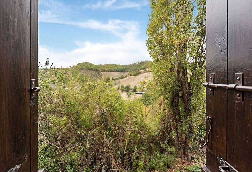 Captivating Apartment In Assisi With Swimming Pool