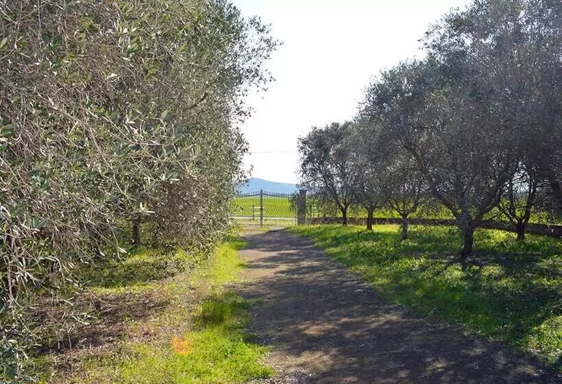 Hotelli Agriturismo Olivomare