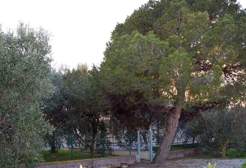 هتل Agriturismo Olivomare