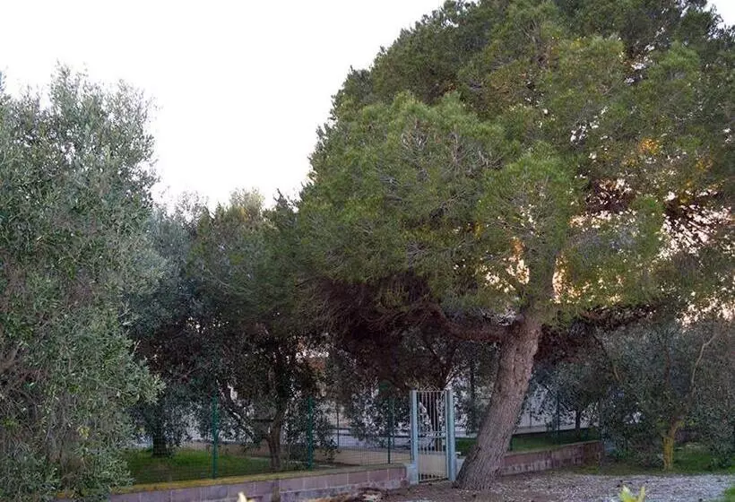 Hotelli Agriturismo Olivomare