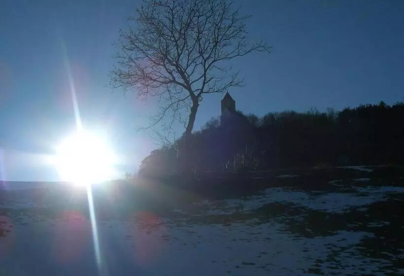 ホテル Pirchnerhof