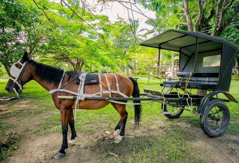Quatro Estações Pesqueiro E Hotel Fazenda
