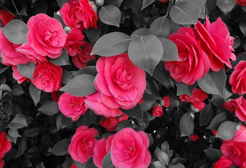 Residenza Paradiso Di Vacanze