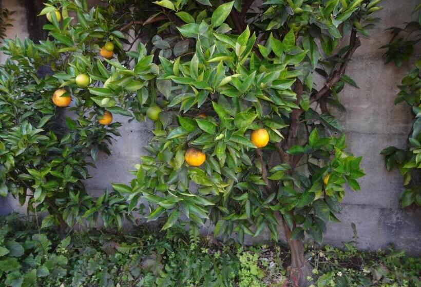 Residenza Paradiso Di Vacanze