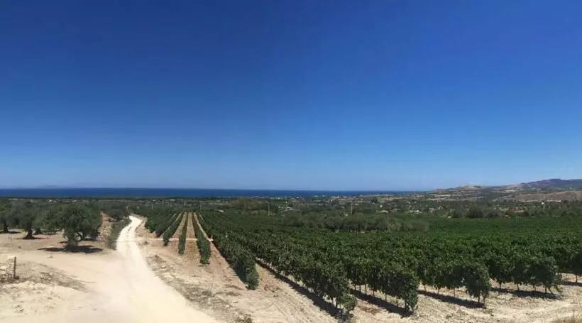 Serra Niedda Resort & Agriturismo