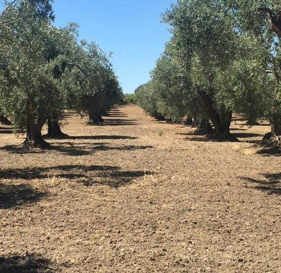 Serra Niedda Resort & Agriturismo