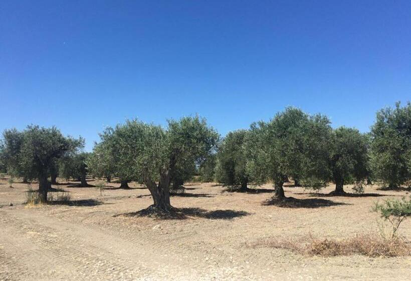 Serra Niedda Resort & Agriturismo