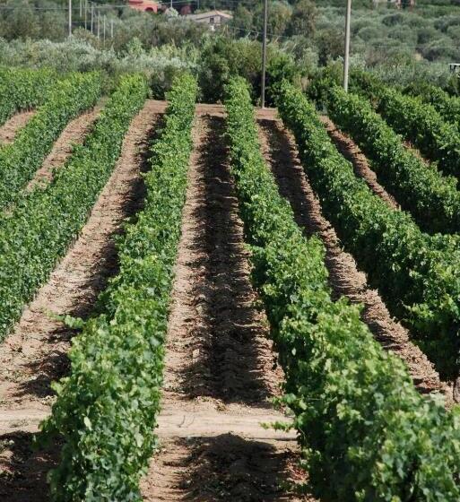 Serra Niedda Resort & Agriturismo