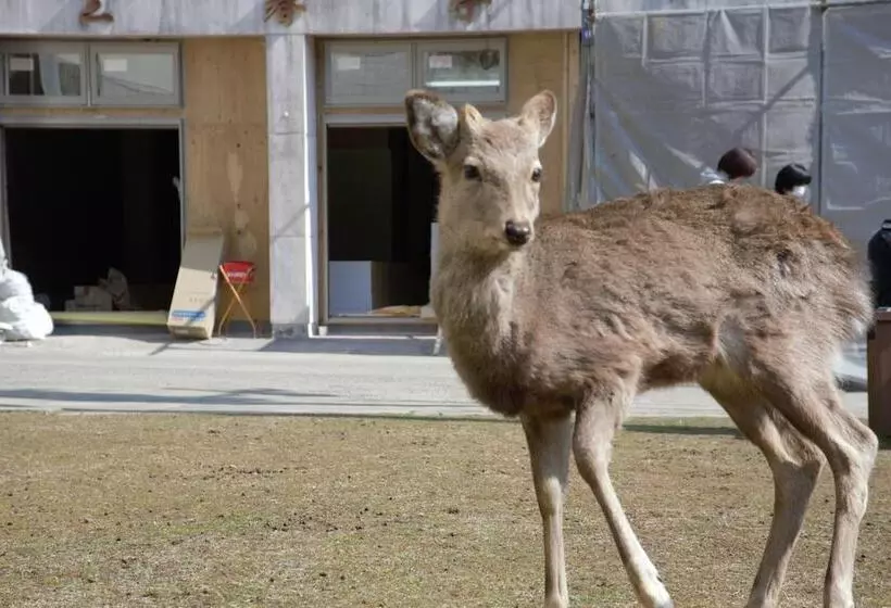 Mountain Home Lodge In Deer Park