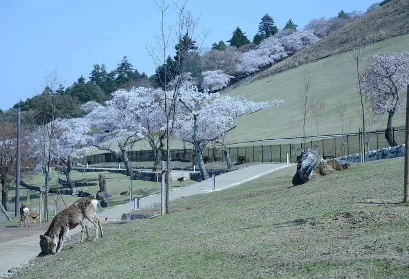 Mountain Home Lodge In Deer Park