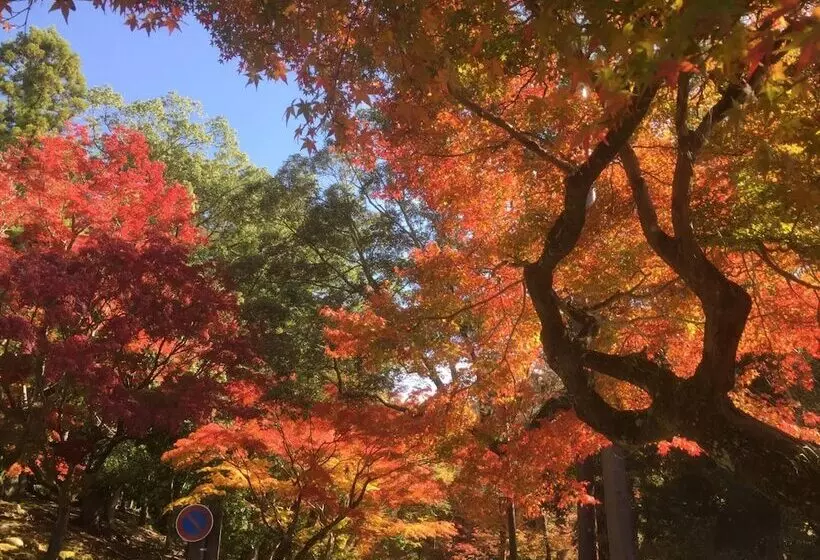 Mountain Home Lodge In Deer Park