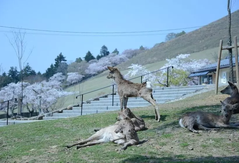 Mountain Home Lodge In Deer Park