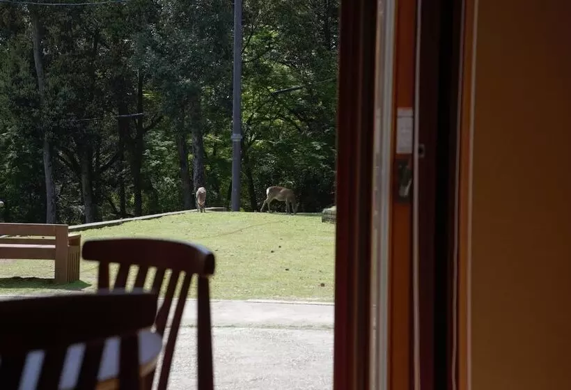 Mountain Home Lodge In Deer Park