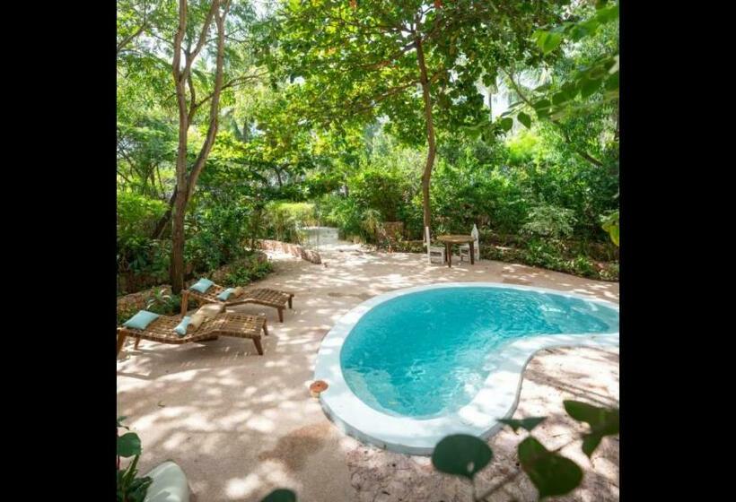 펜션 Room In Villa   Xanadu Villas Retreat