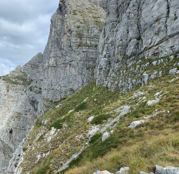 膳宿费 Guesthouse Rosi