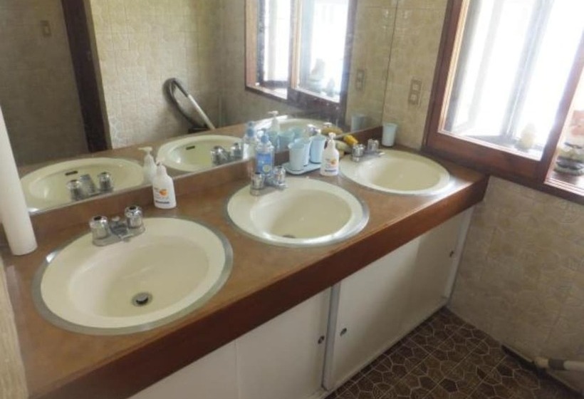 Rental Lodge White Rabbit Madarao Kogen Cottage Alice