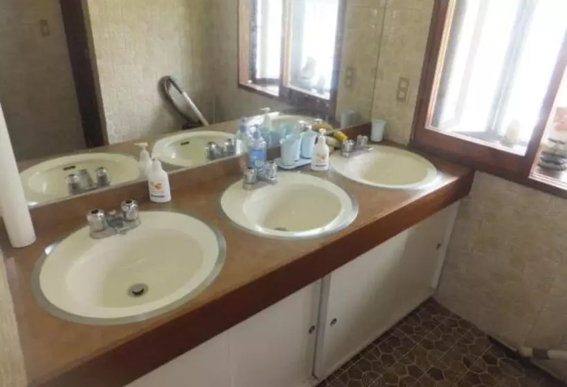 Rental Lodge White Rabbit Madarao Kogen Cottage Alice