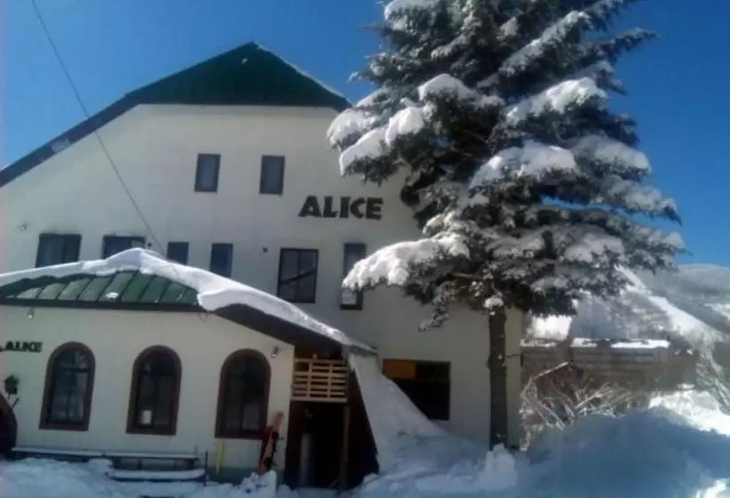 Rental Lodge White Rabbit Madarao Kogen Cottage Alice