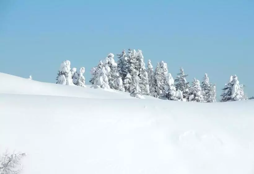 Отель Albergo Eden