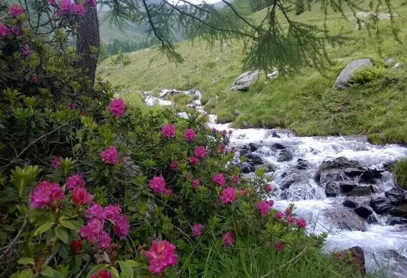 Отель Albergo Eden