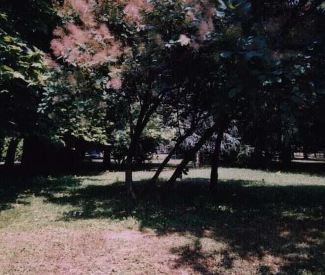 בית מלון כפרי Ca' Vecchia