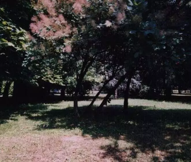 בית מלון כפרי Ca' Vecchia