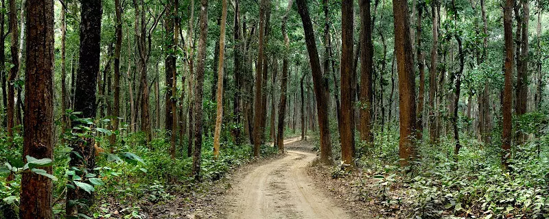 酒店 The Hideaway River Lodge