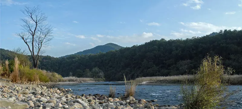 酒店 The Hideaway River Lodge