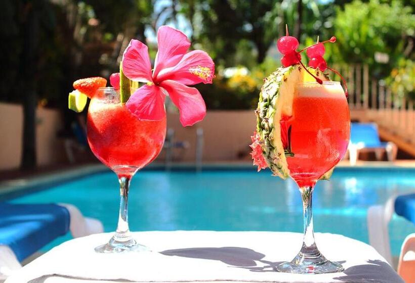 호텔 Villa Del Sueno