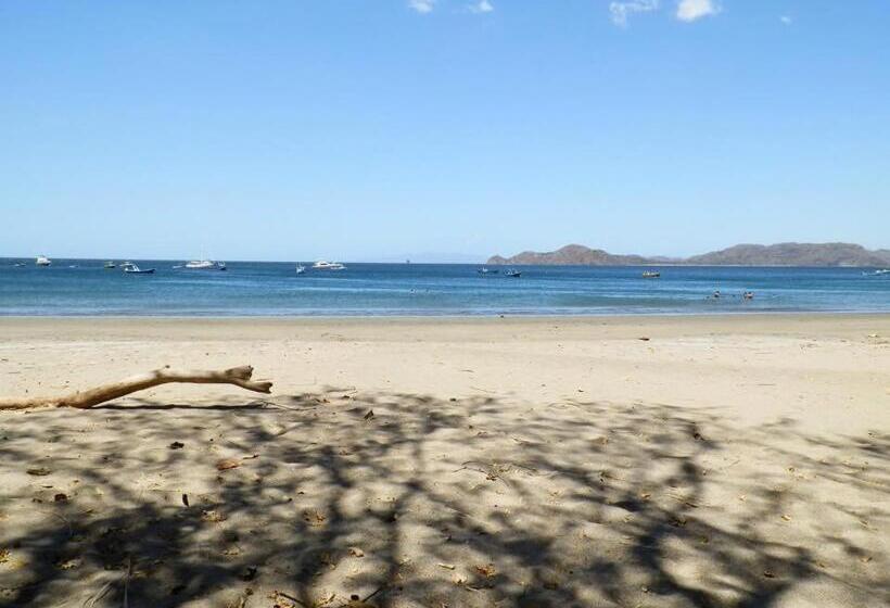 호텔 Villa Del Sueno