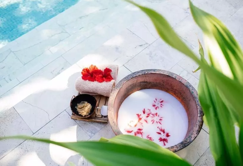 فندق Yasawa Island Resort