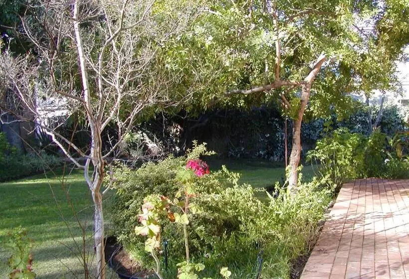 پانسیون Bisibee Guest House