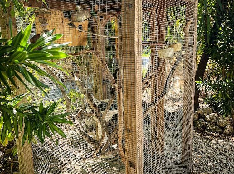 Sunset Cove Beach Resort