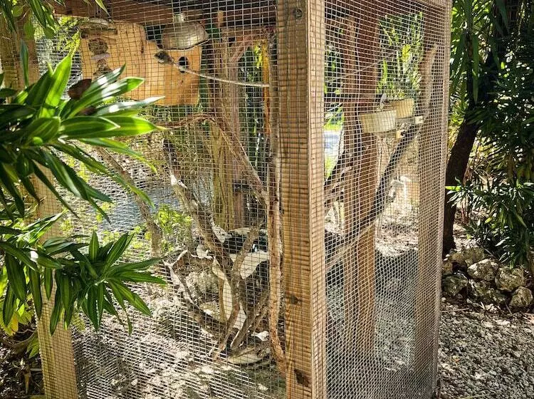 Sunset Cove Beach Resort