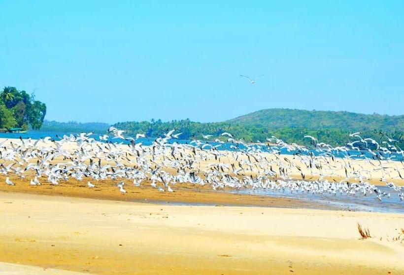 ホテル Samant Beach Resort