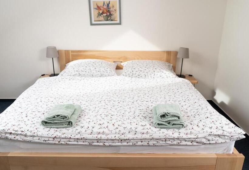 پانسیون Penzion Grado Davle