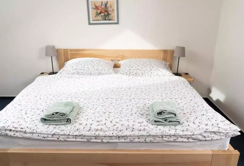 Majatalo Penzion Grado Davle